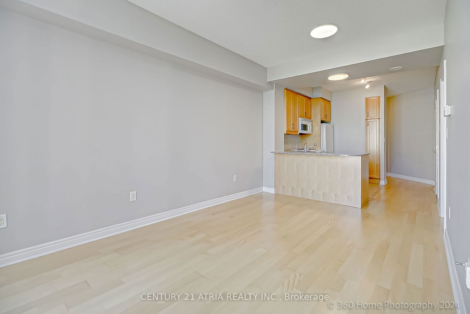 100 Hayden St, unit 1102 for sale - image #18