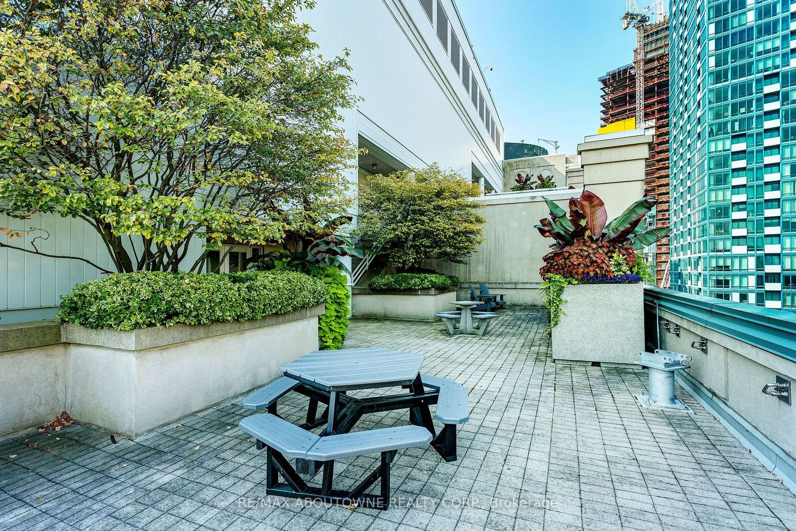 25 The Esplanade, unit #3216 for sale - image #6