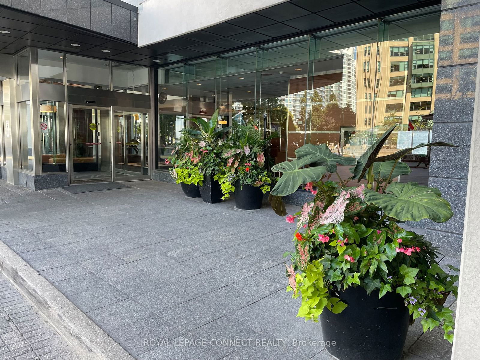 77 Harbour Sq, unit 2206 for rent