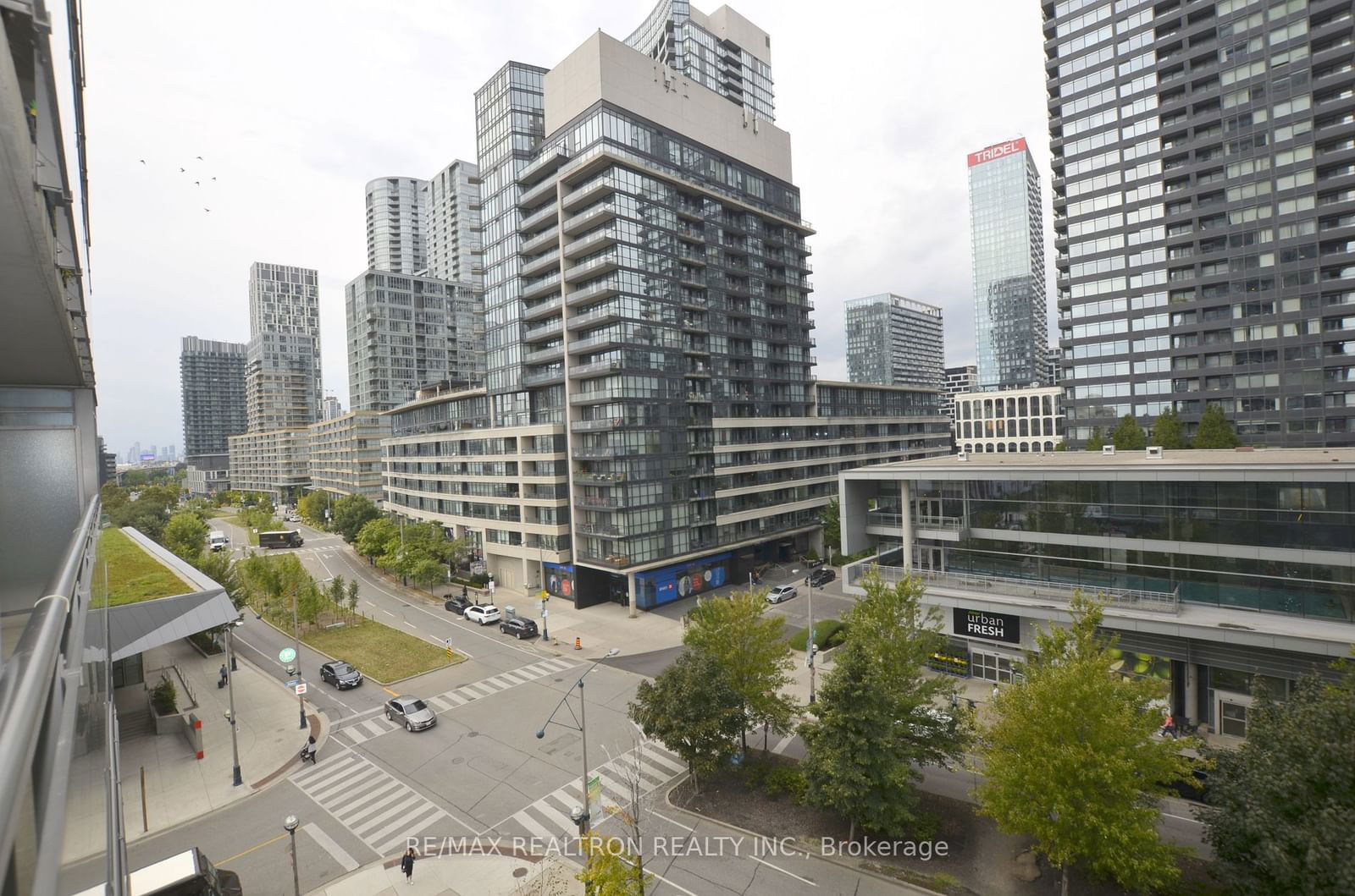 15 Fort York Blvd, unit 906 for rent