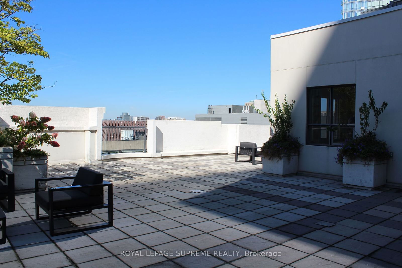 801 Bay St, unit 210 for rent - image #21