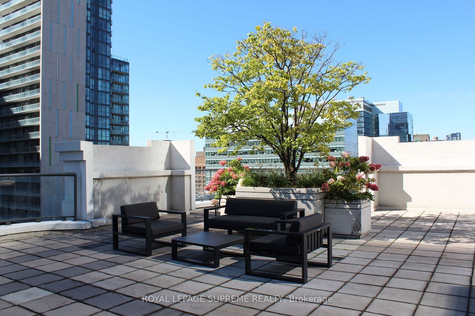 801 Bay St, unit 210 for rent - image #22