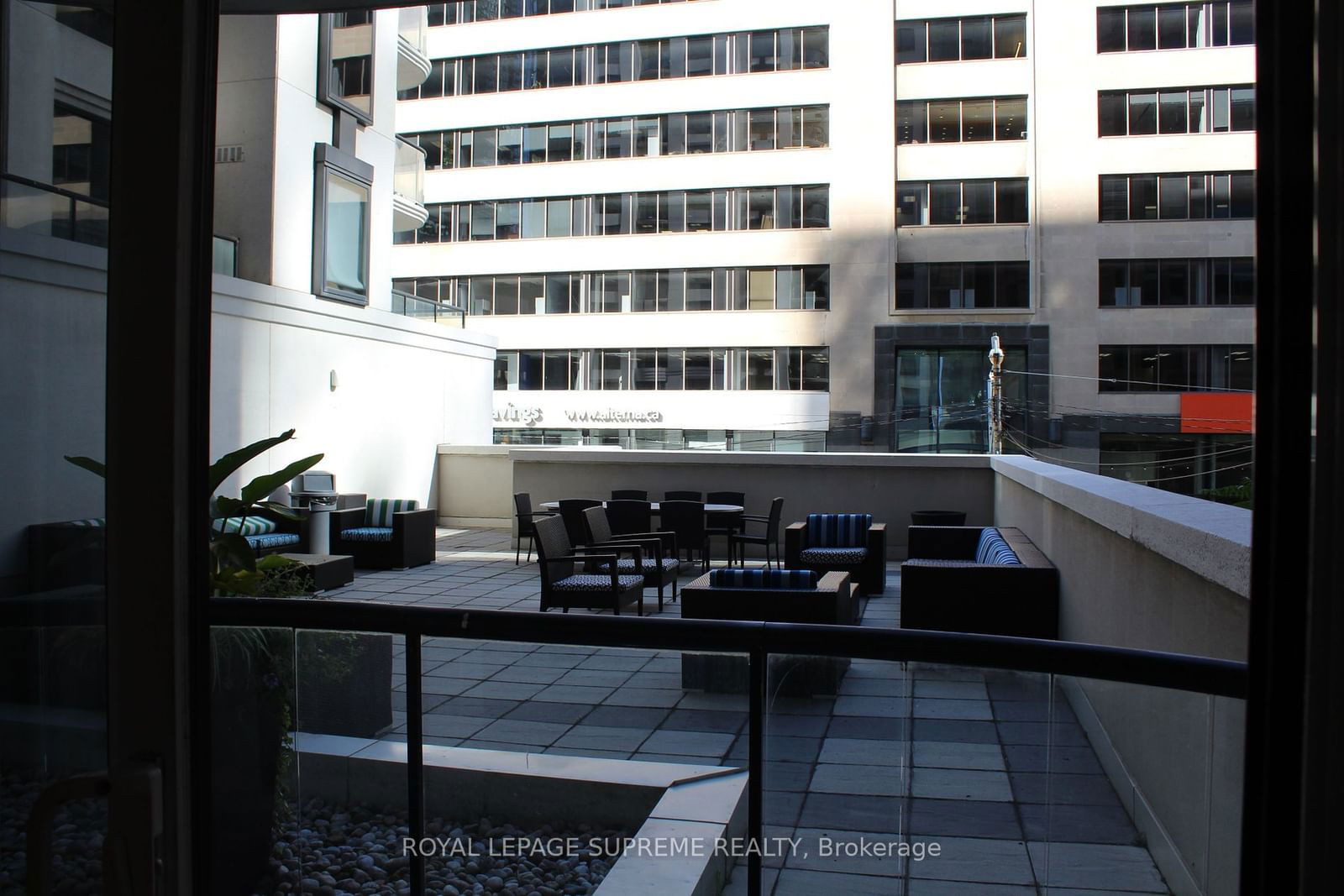 801 Bay St, unit 210 for rent - image #3