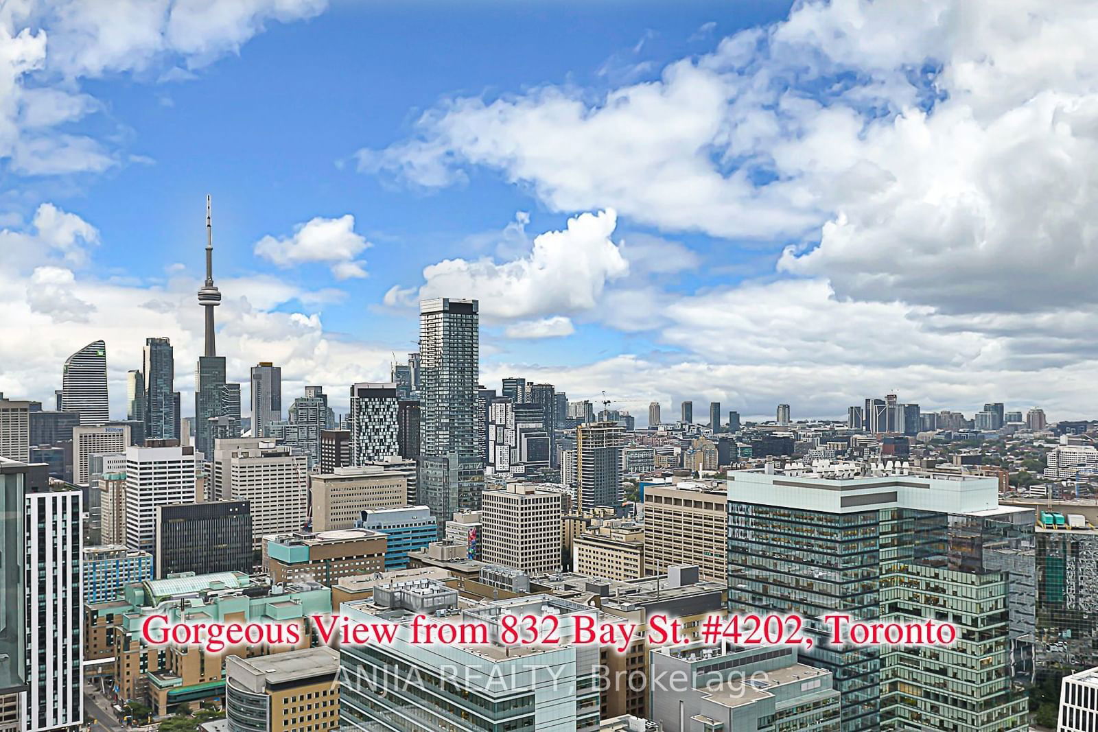 832 Bay St, unit 4202 for sale - image #34