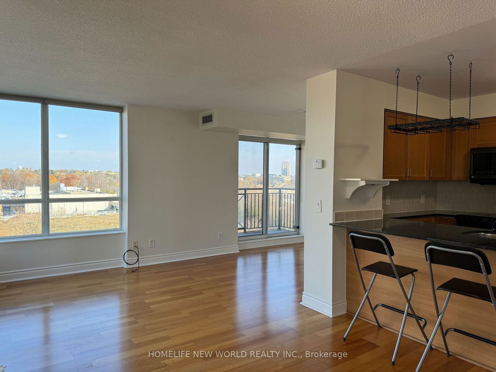 1103 Leslie St, unit 907 for rent - image #12