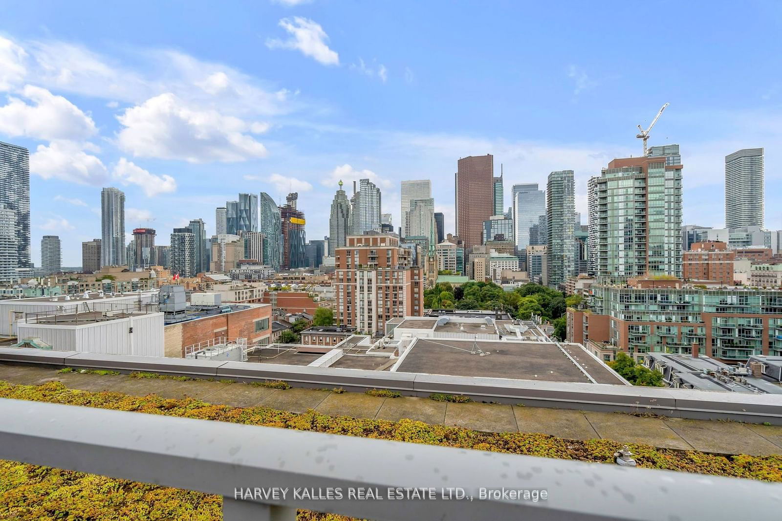 205 Frederick St, unit 511 for sale