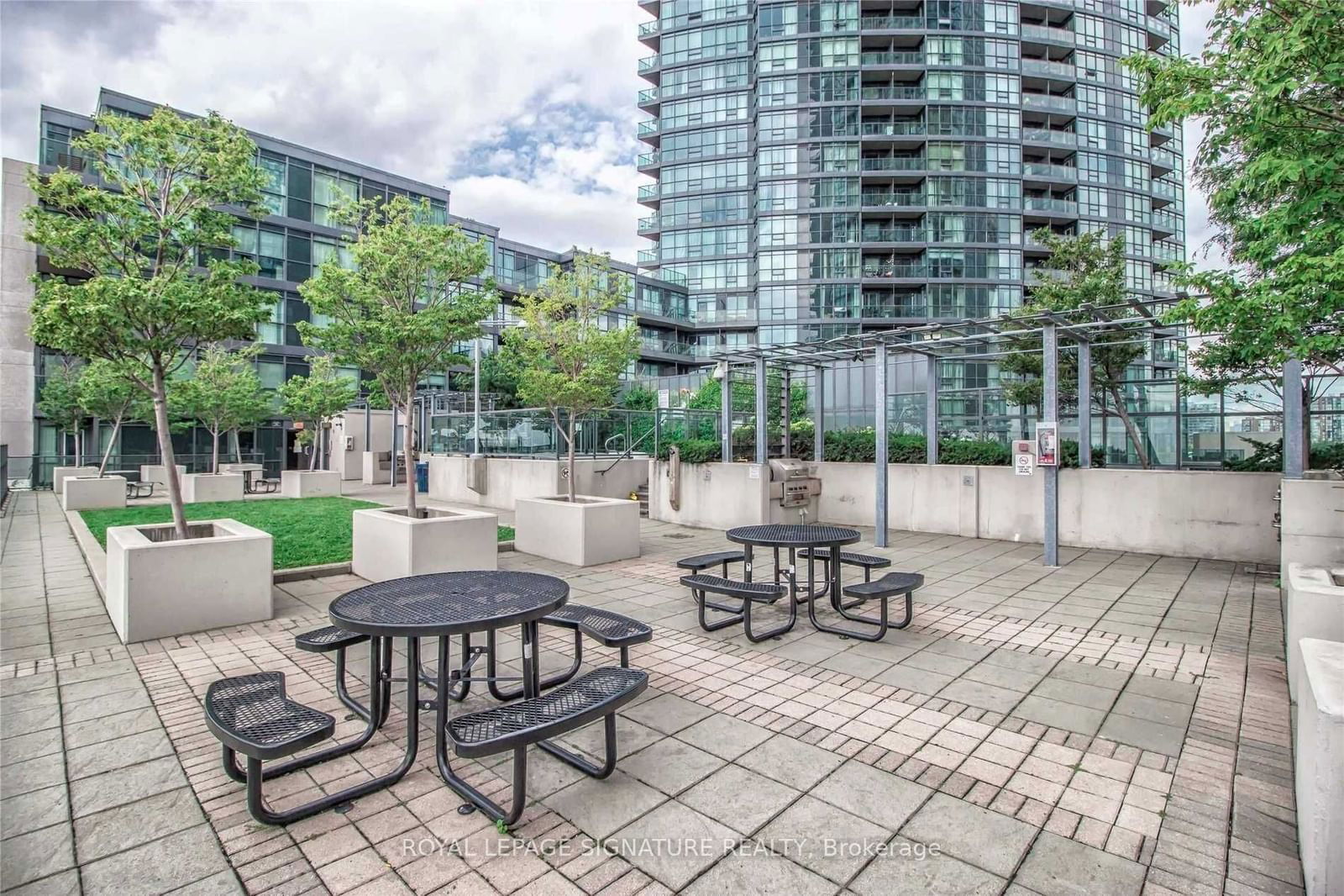 219 Fort York Blvd, unit 1004 for rent