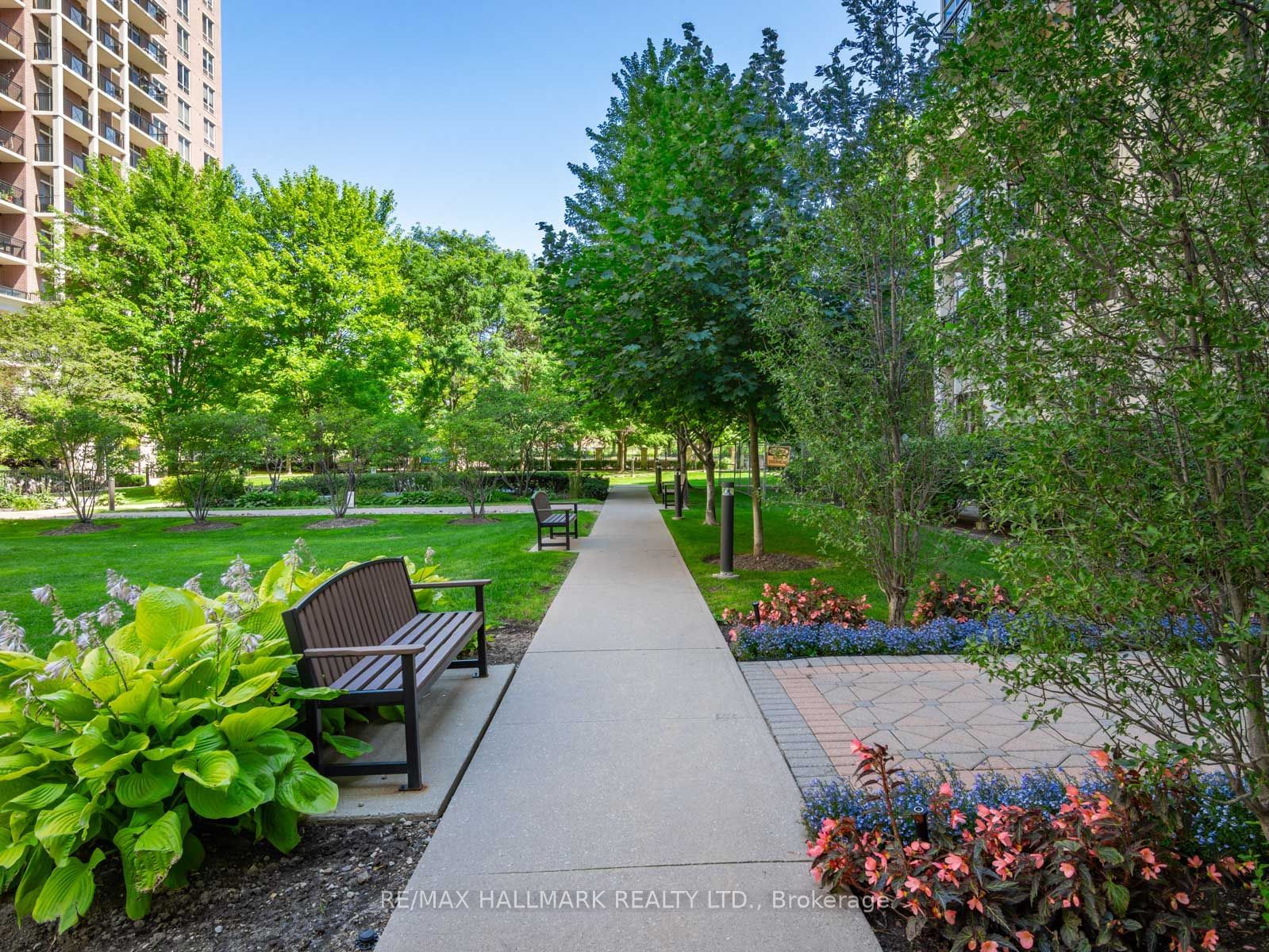 Carrington Place Condos, North York, Toronto