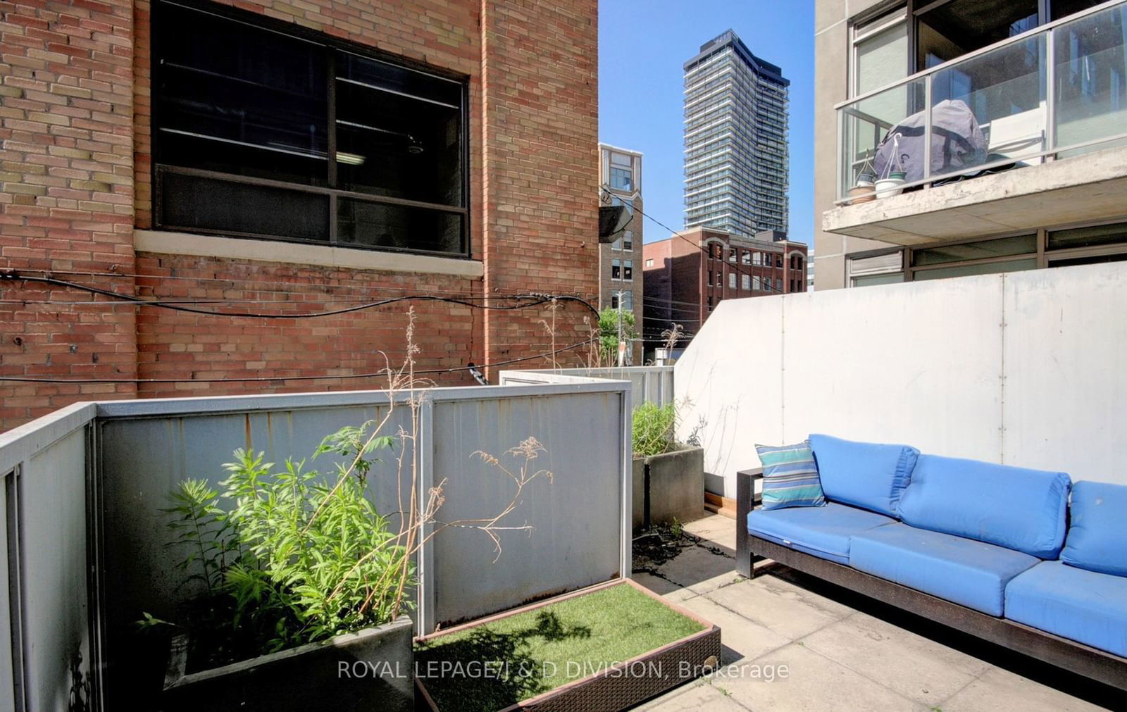 36 Charlotte St, unit 207 for rent