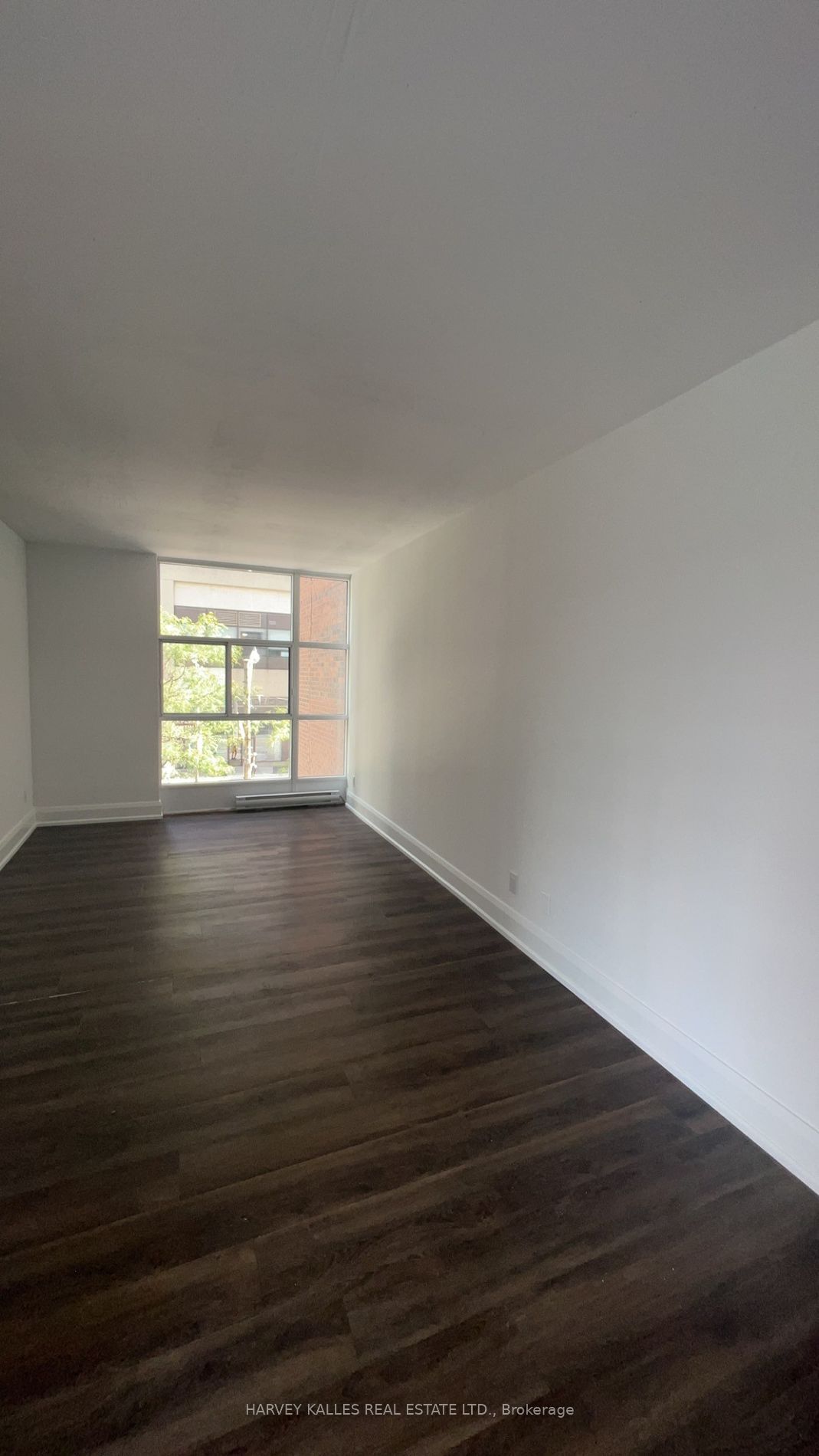 55 Charles St W, unit 203 for rent