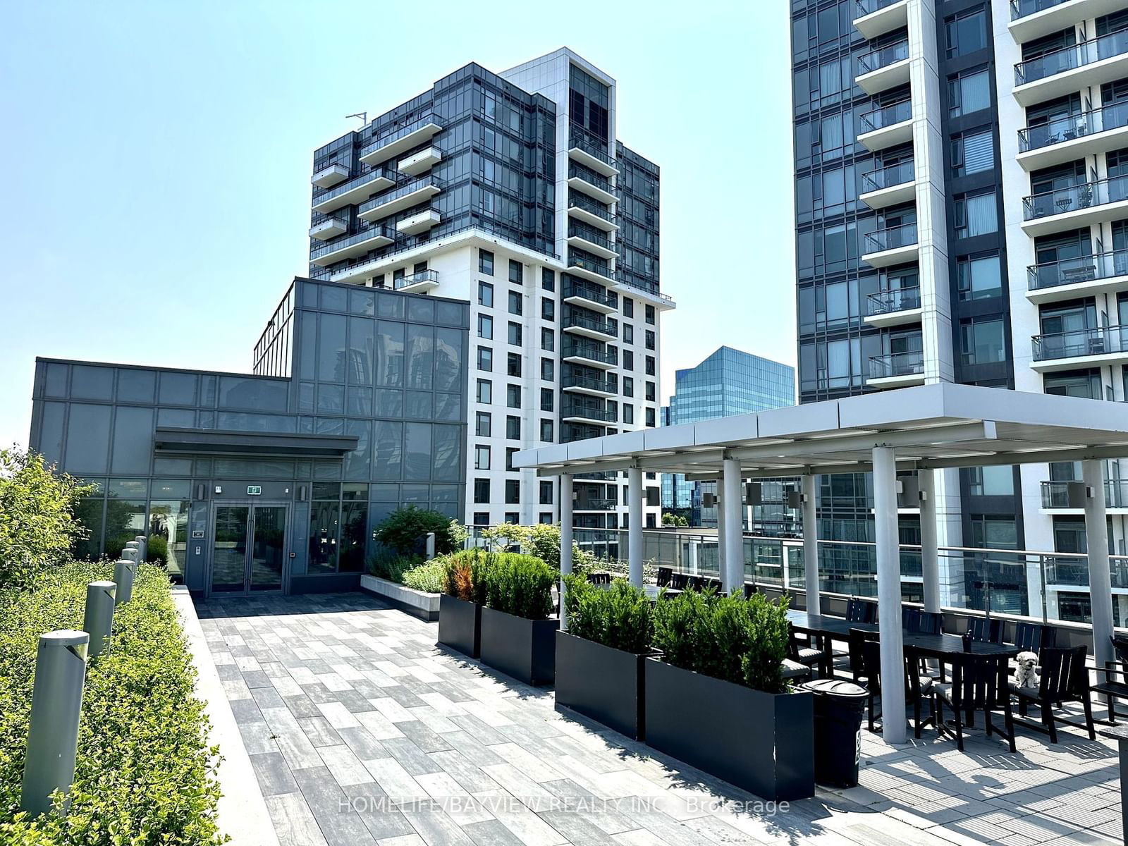 60 Ann O'Reilly Rd, unit 1667 for rent