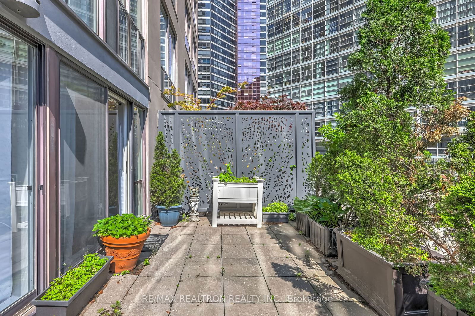 24 Wellesley St W, unit 207 for rent