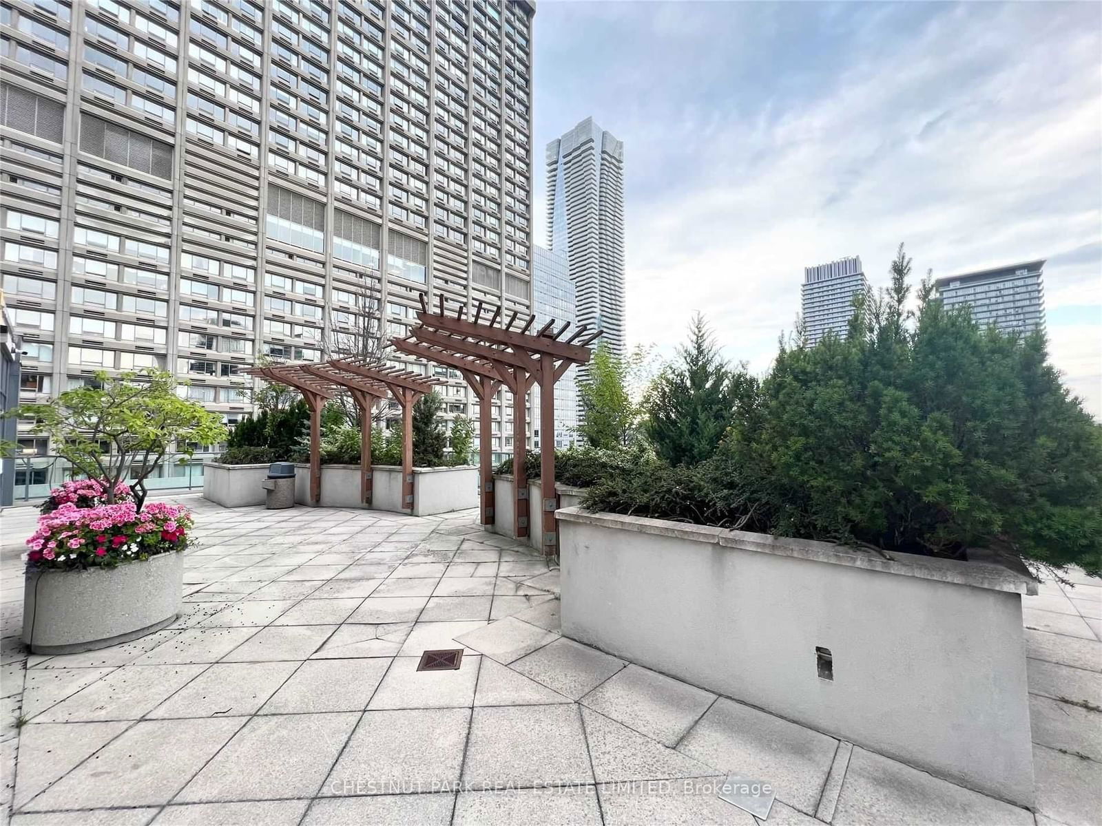 1121 Bay St, unit 1904 for rent