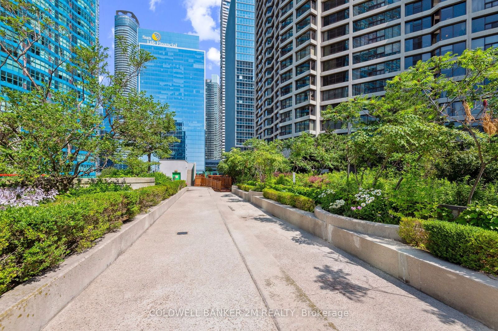 77 Harbour Sq, unit 406 for rent