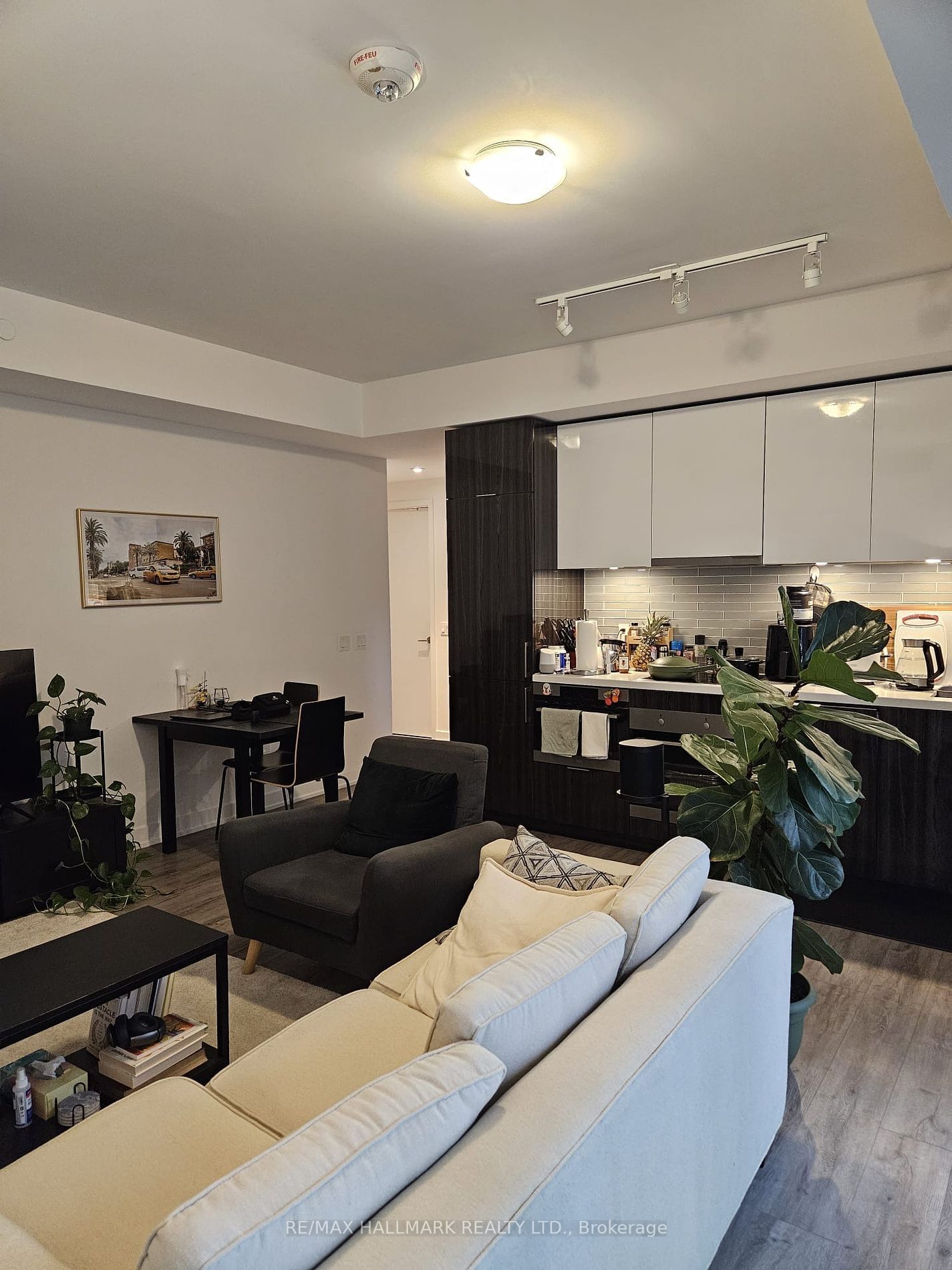 15 Queens Quay E, unit 307 for rent