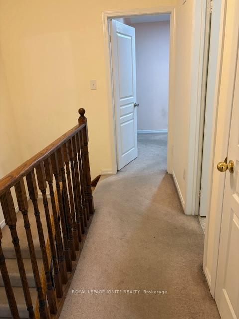 11 Curran Hall Cres for rent 