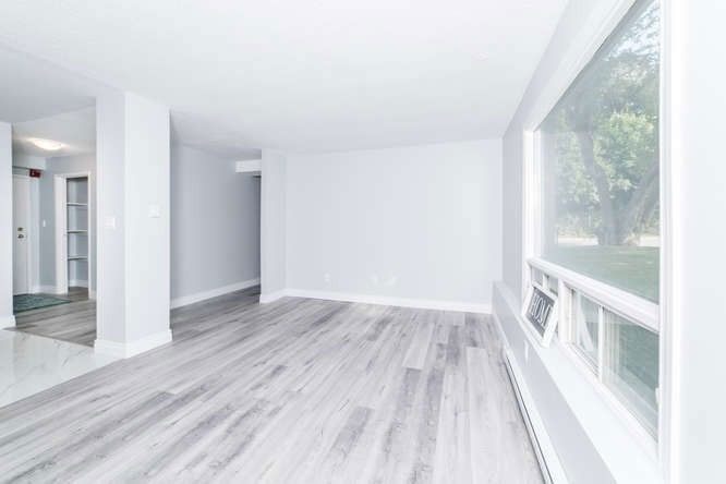 61 Hall St, unit 1 for rent - image #3