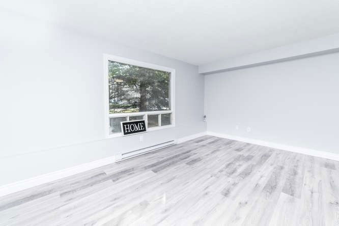 61 Hall St, unit 1 for rent - image #4
