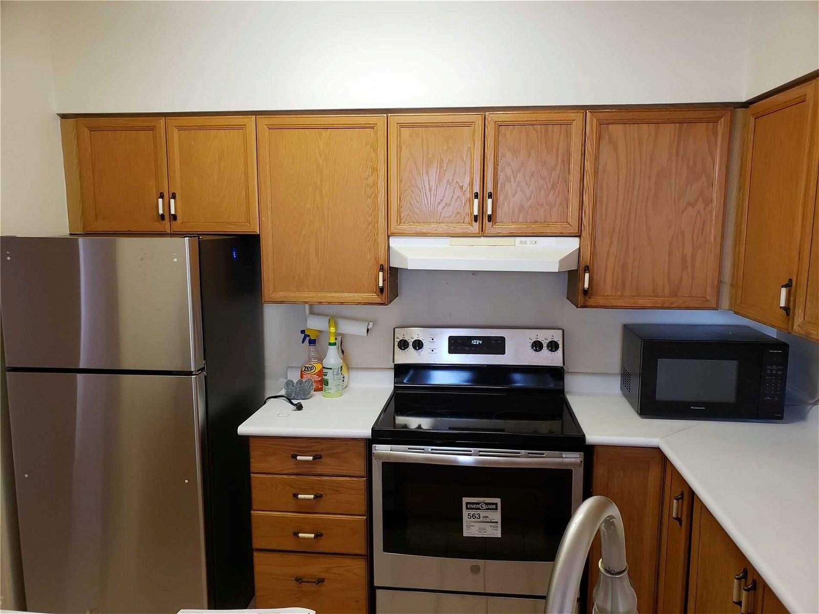 410 Mclevin Ave, unit 1007 for rent - image #5