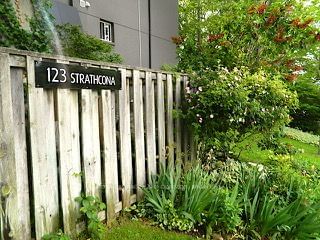 Strathcona Mews, East End, Toronto