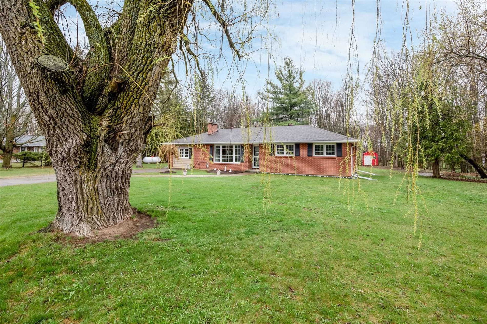 8403 County Rd 1 for sale 