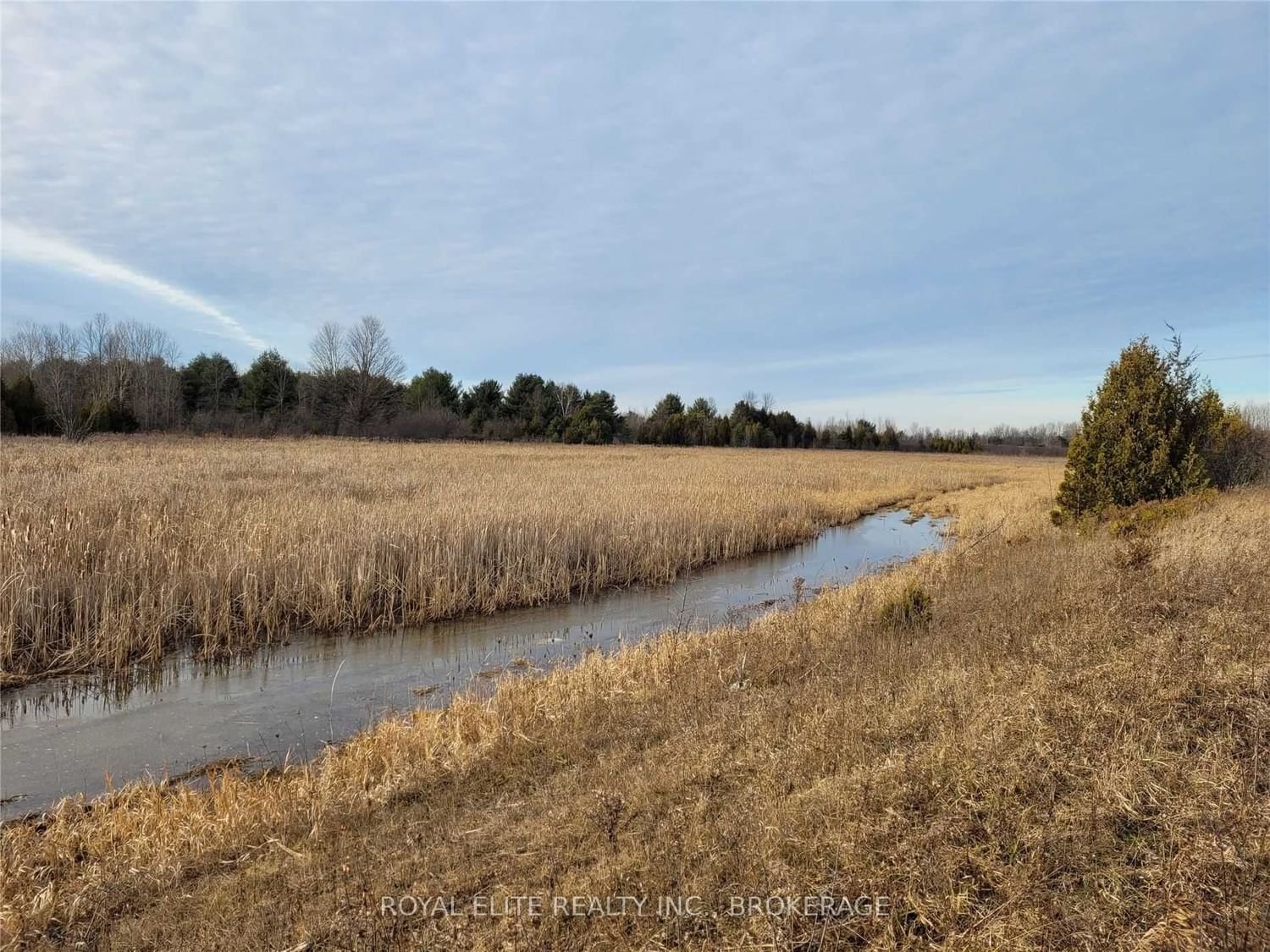 30705 Highway 48 Rd for sale  - image #22