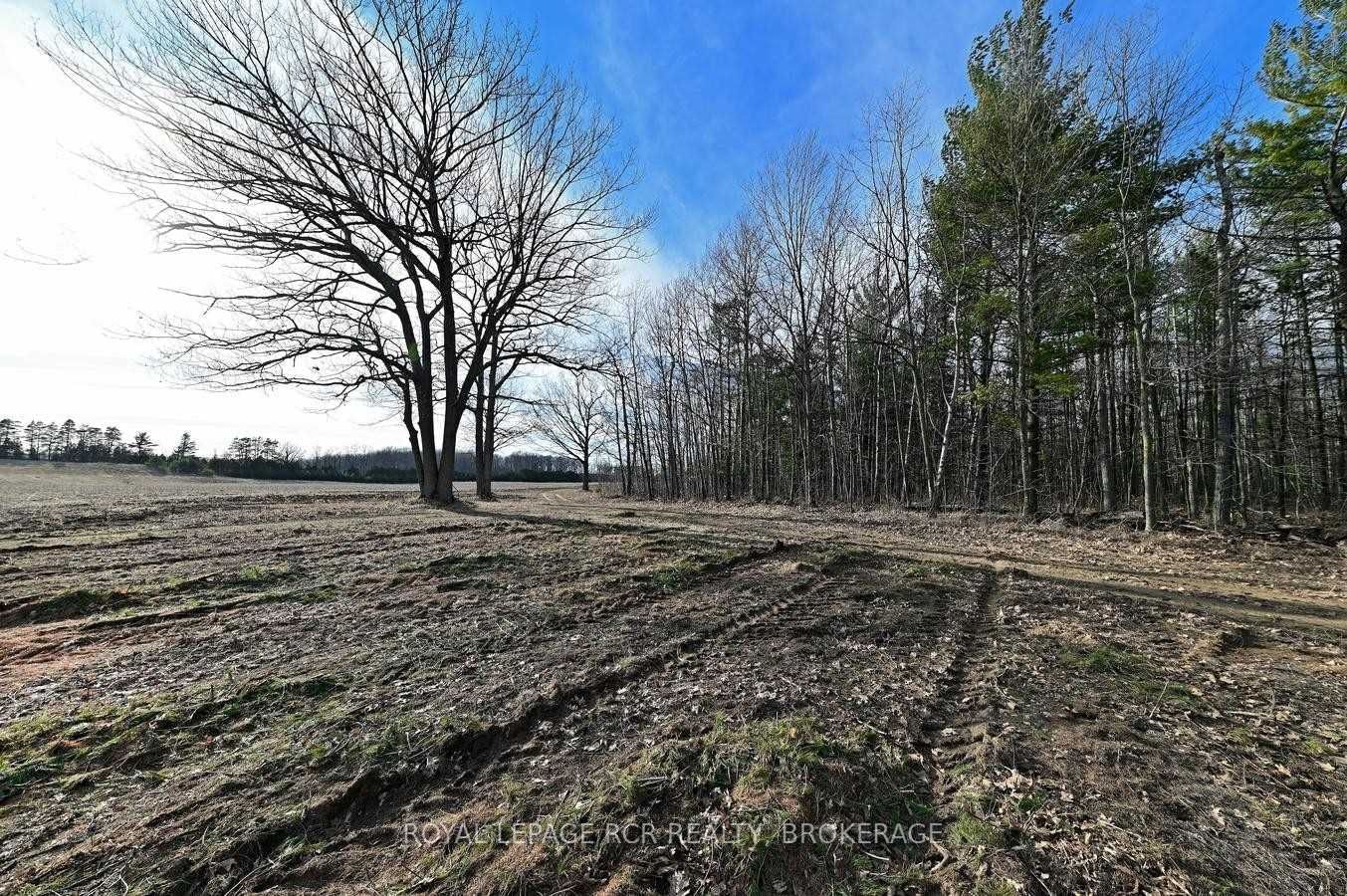 6423 Concession 3 Rd, unit null for sale - image #3