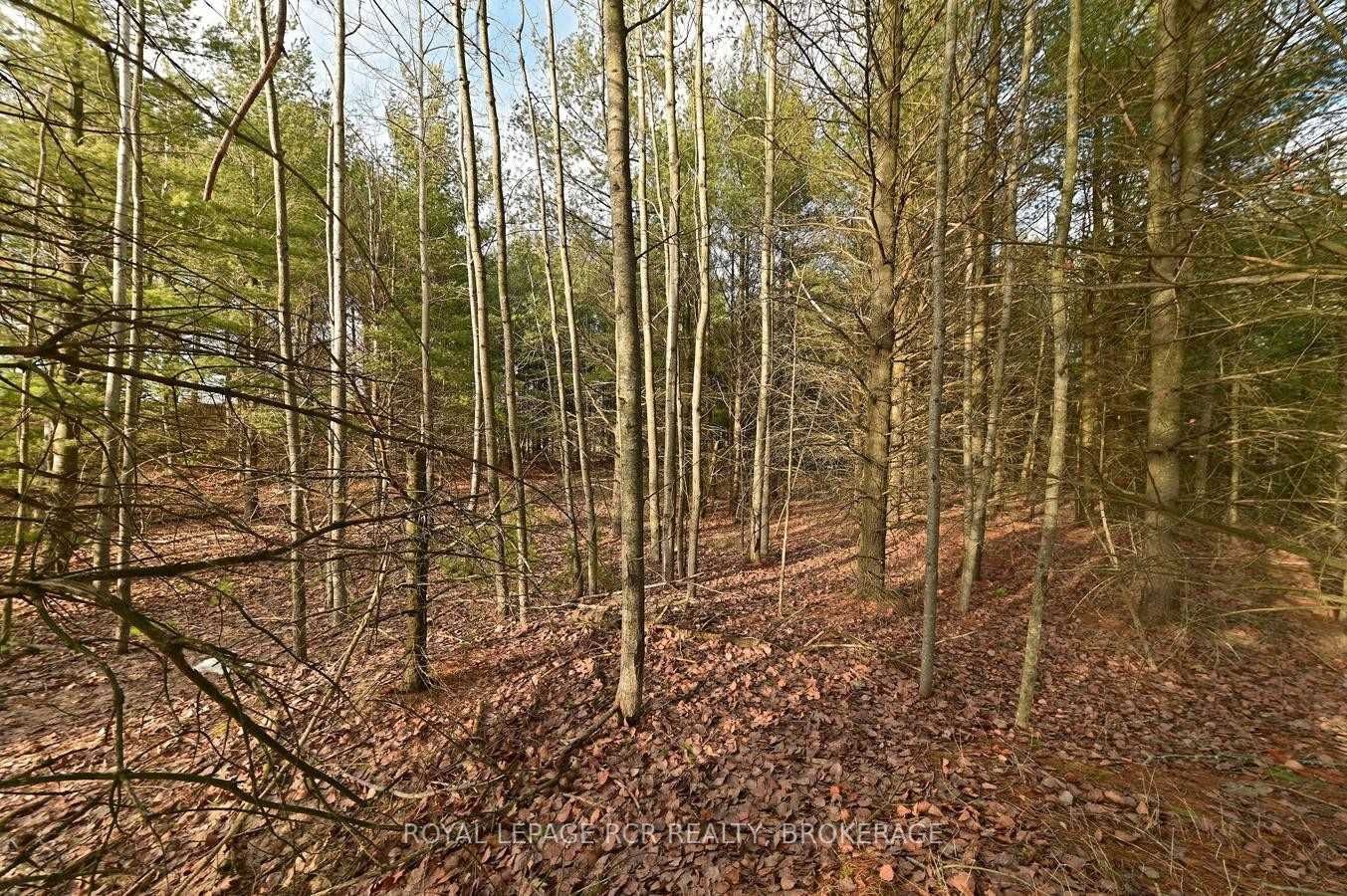 6423 Concession 3 Rd, unit null for sale - image #4