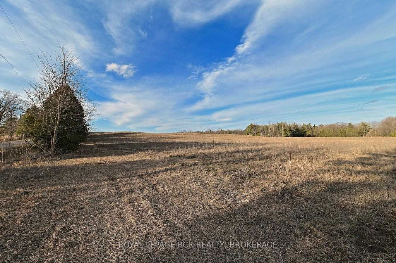 6423 Concession 3 Rd, unit null for sale - image #5