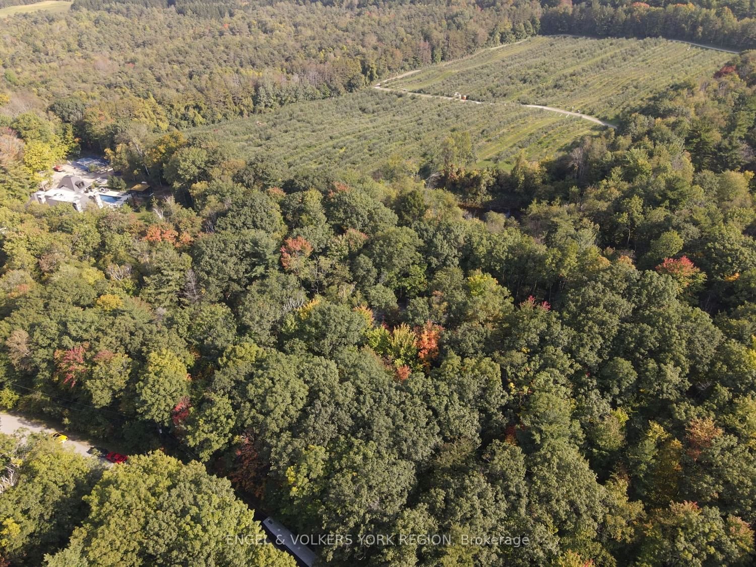 295 King's Summit Rd for sale  - image #8