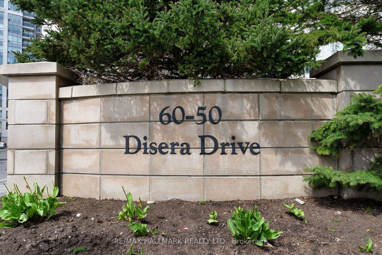 50 Disera Dr, unit 215 for sale - image #29