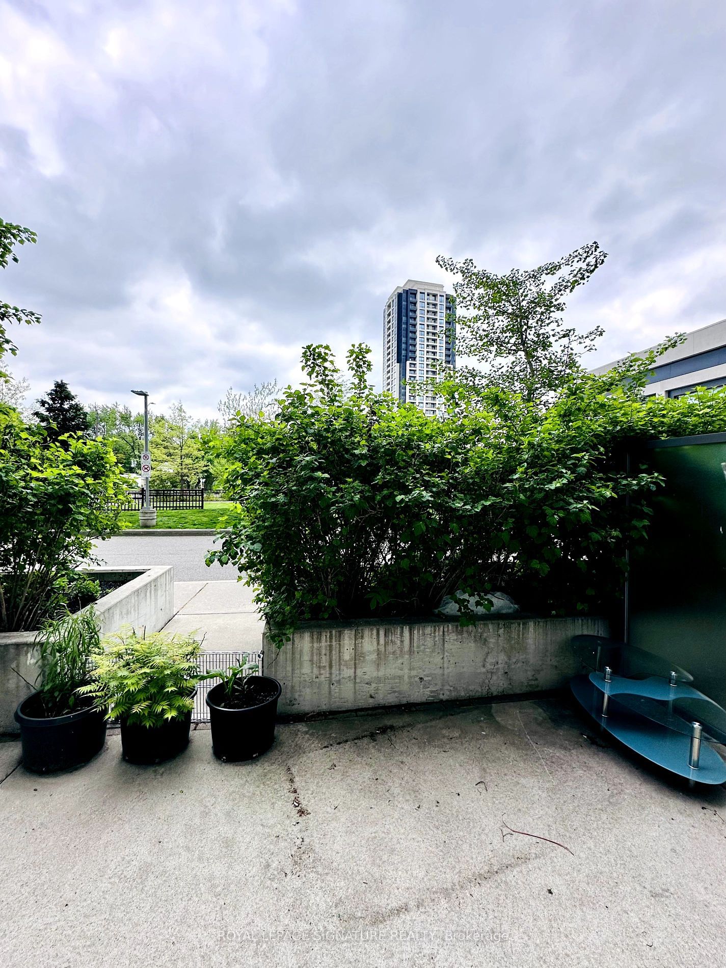 7165 Yonge St, unit 110 for rent