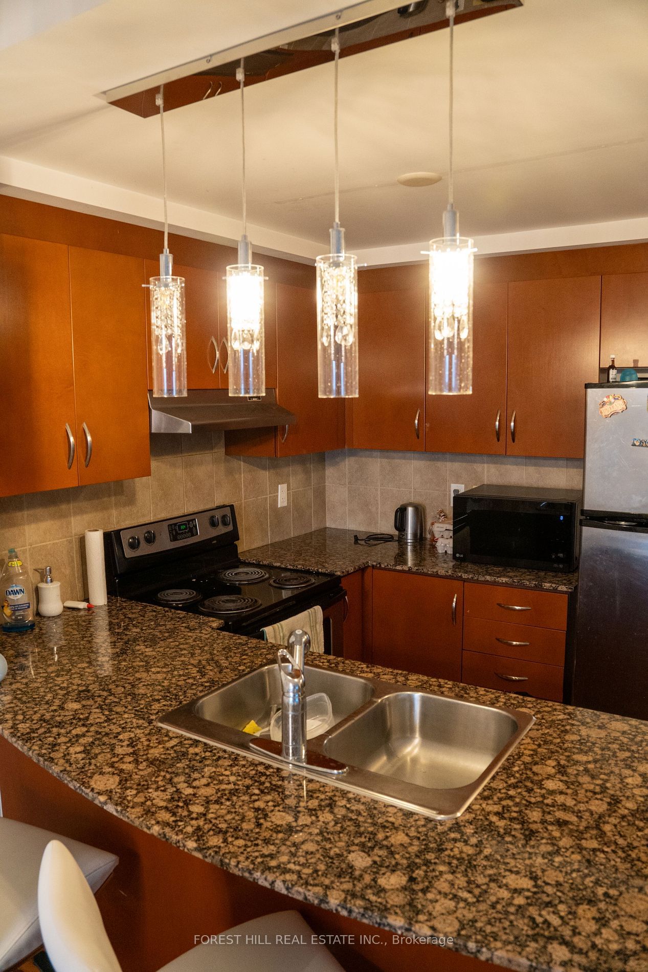 8 Maison Parc Crt, unit 503 for sale - image #6