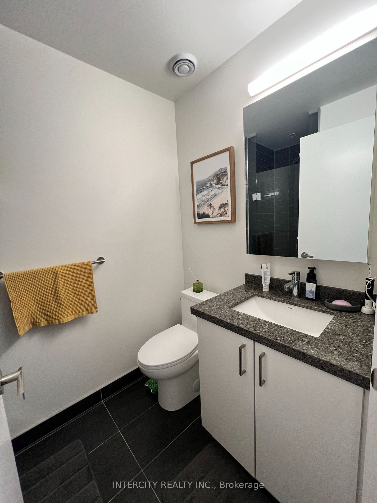 3 Rosewater St, unit 1707W for rent - image #15