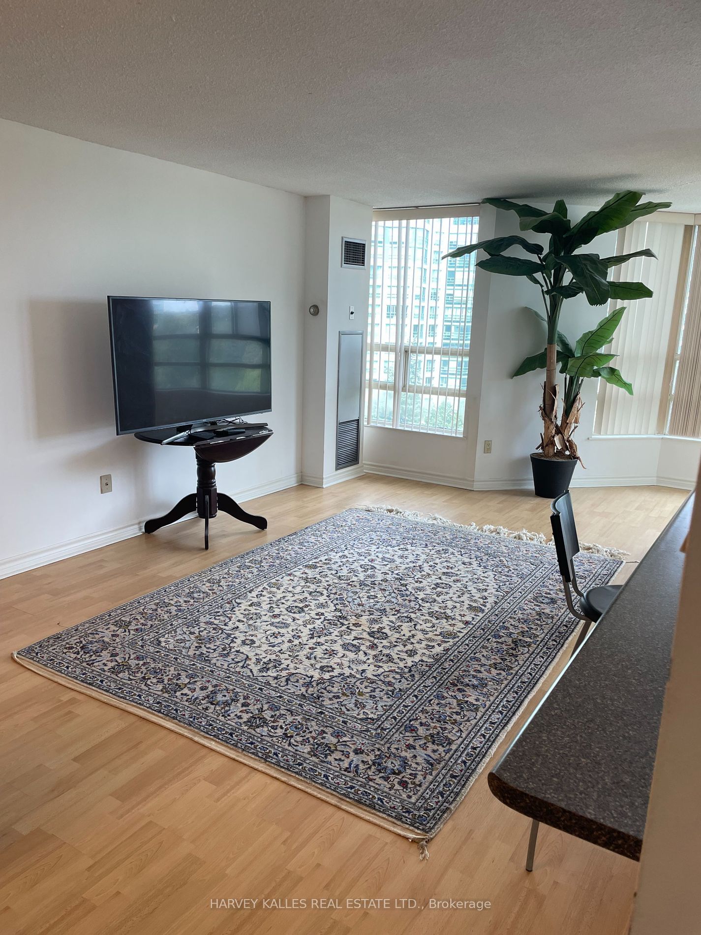 7805 Bayview Ave, unit 709 for rent - image #18