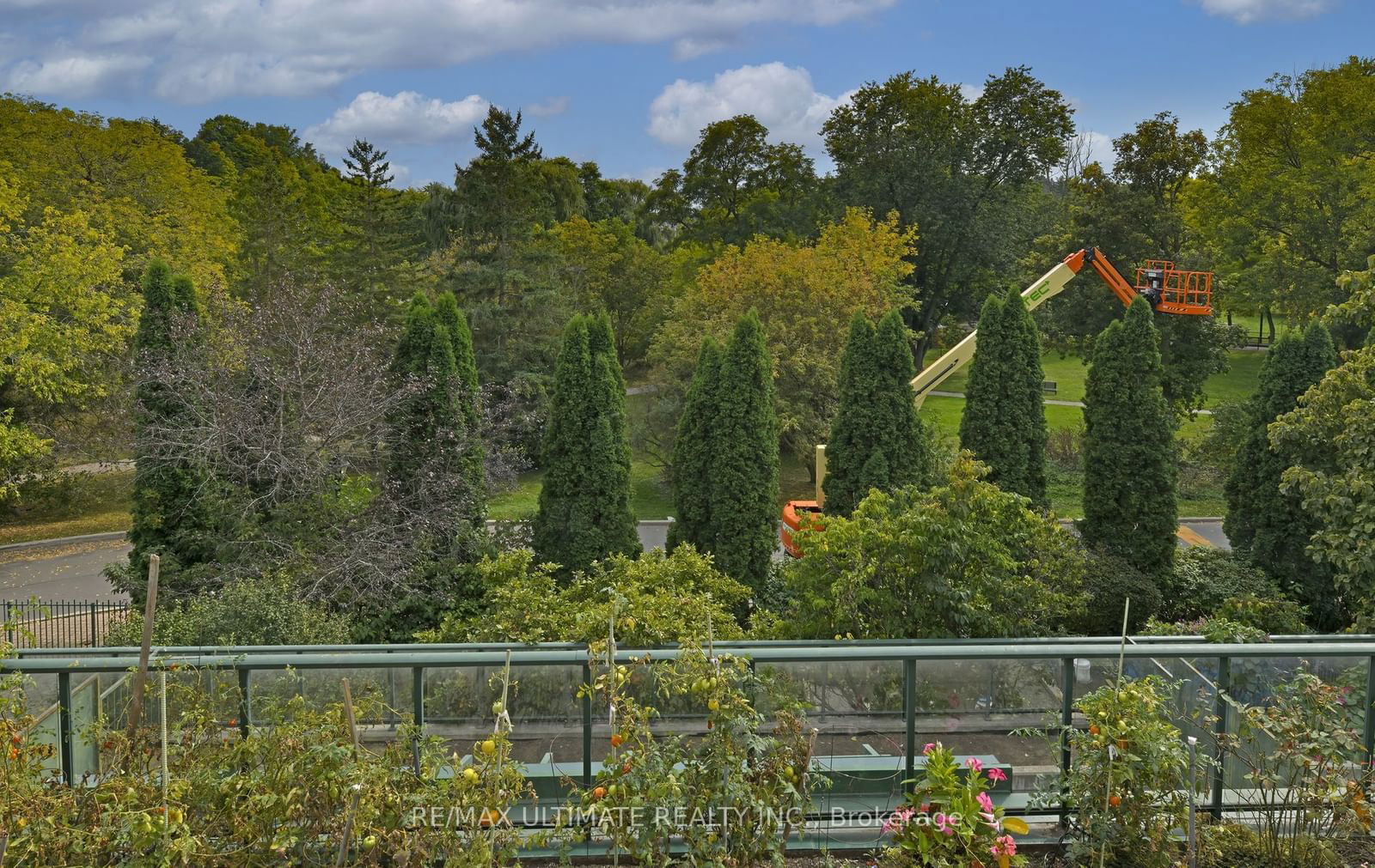 The Terraces of Woodbridge Condos, Vaughan, Toronto