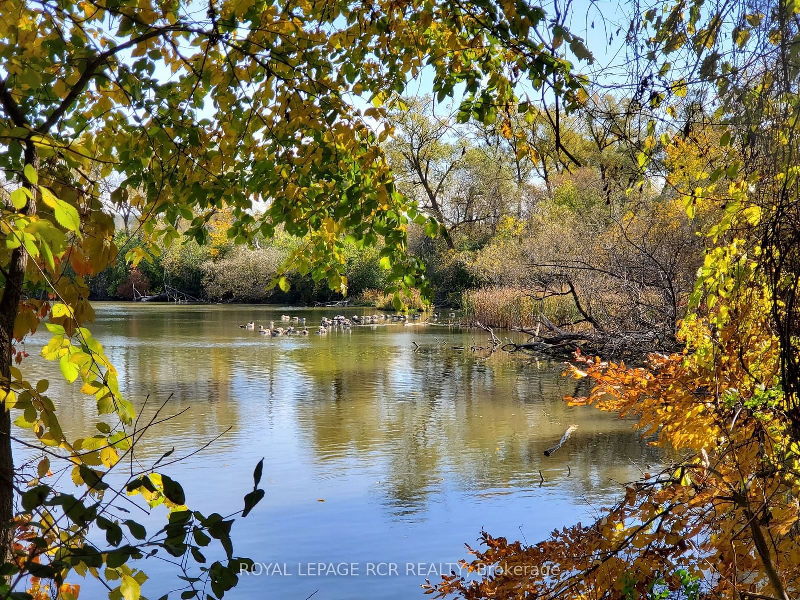 On Bogart Pond Townhomes, Newmarket, Toronto