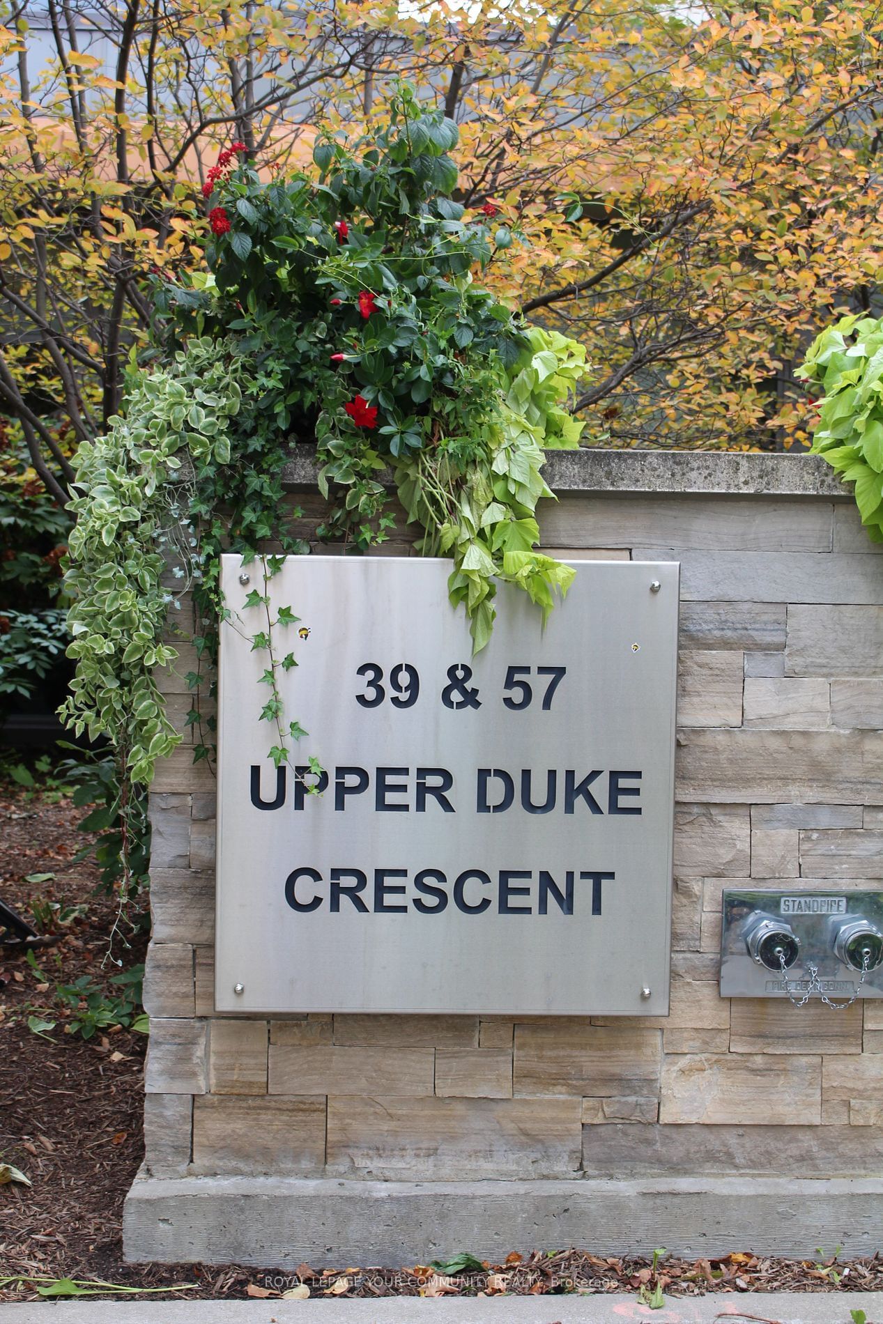 57 Upper Duke Cres, unit 304 for rent