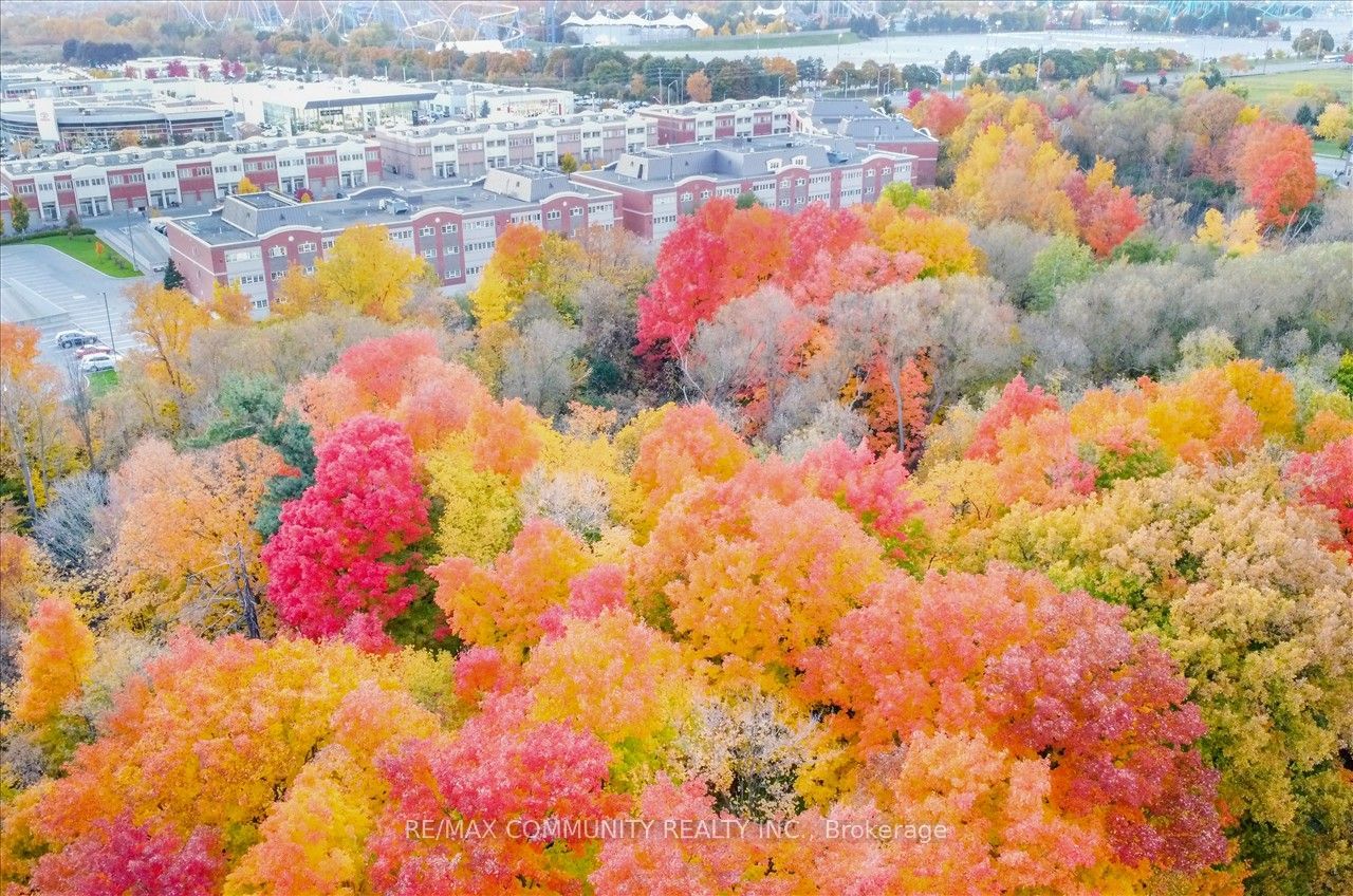 Springside Place Condos, Vaughan, Toronto