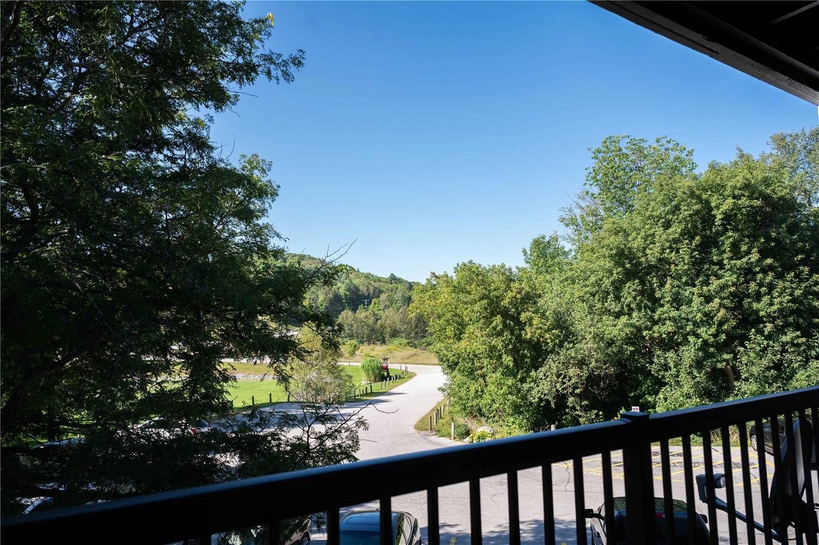 1102 Horseshoe Valley Rd, unit 219 for sale - image #9