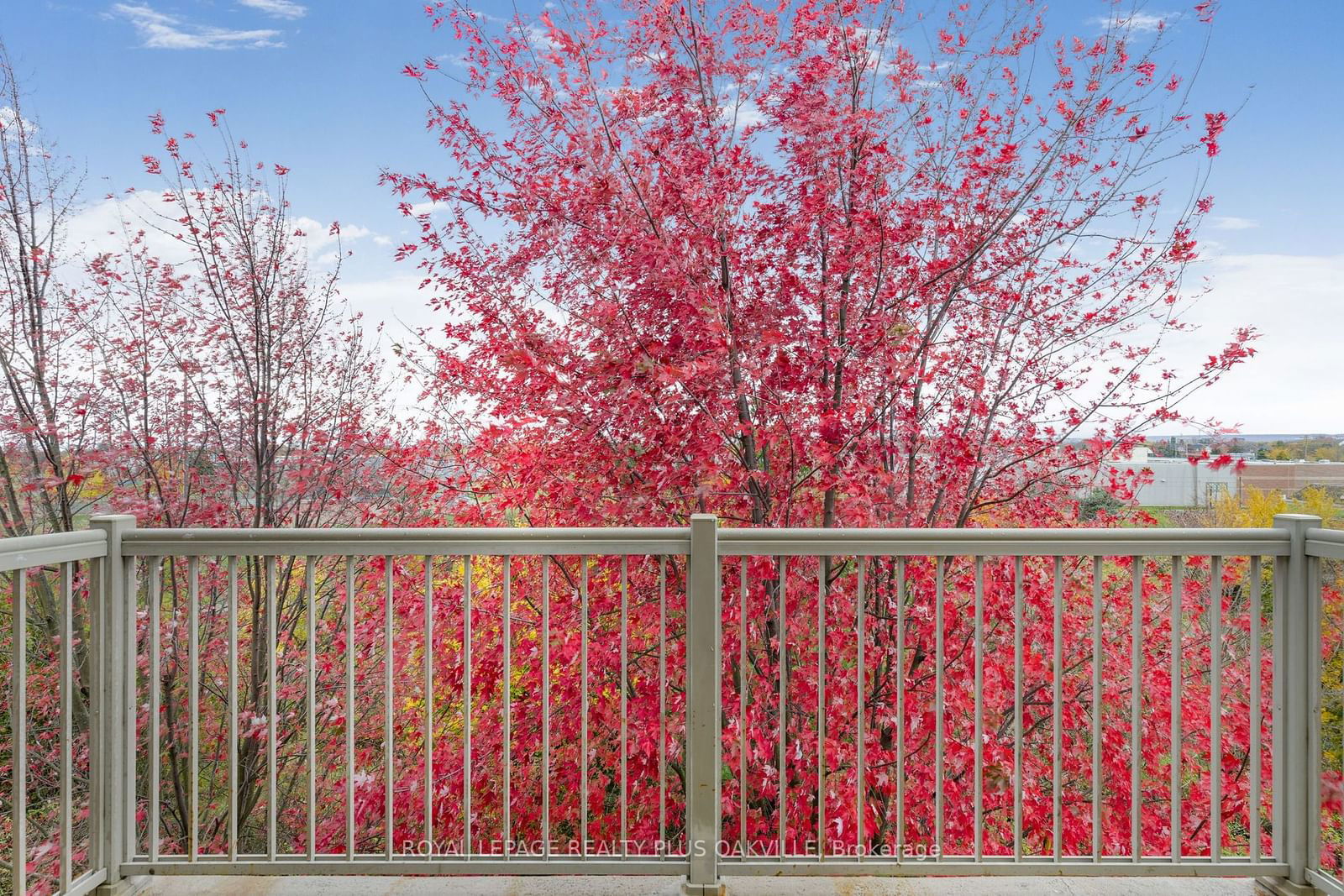 Abbey Oaks II Condos, Oakville, Toronto