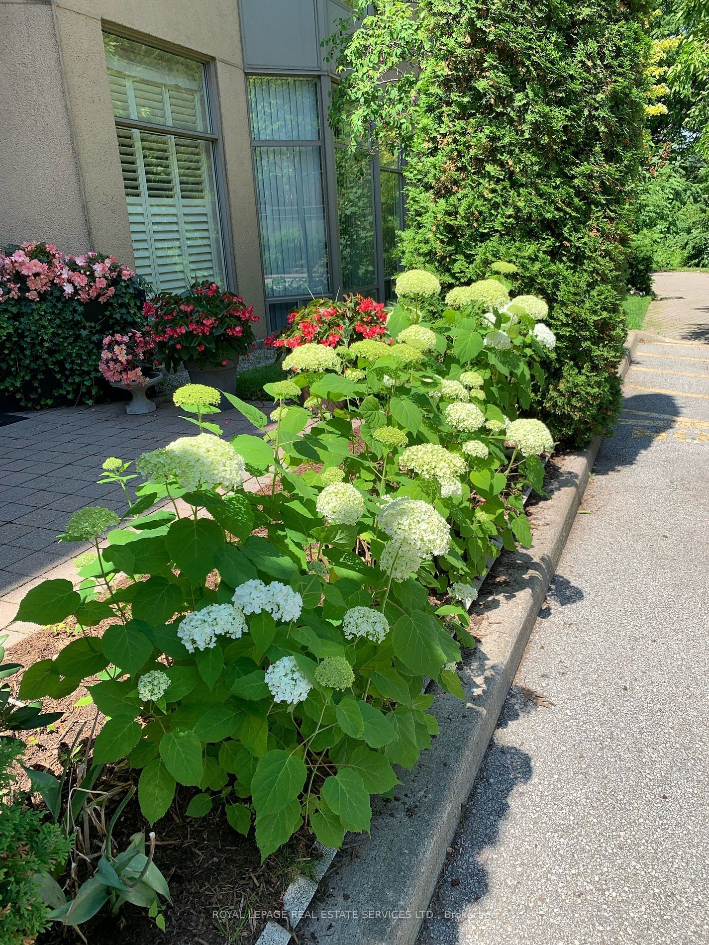 Bronte Harbour Club Condos, Oakville, Toronto