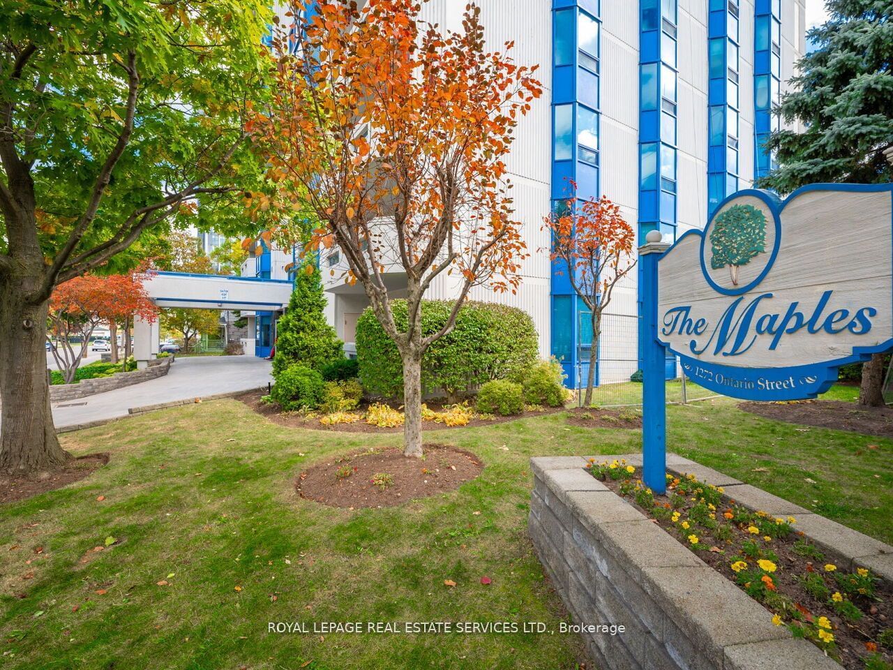 The Maples Condos, Burlington, Toronto