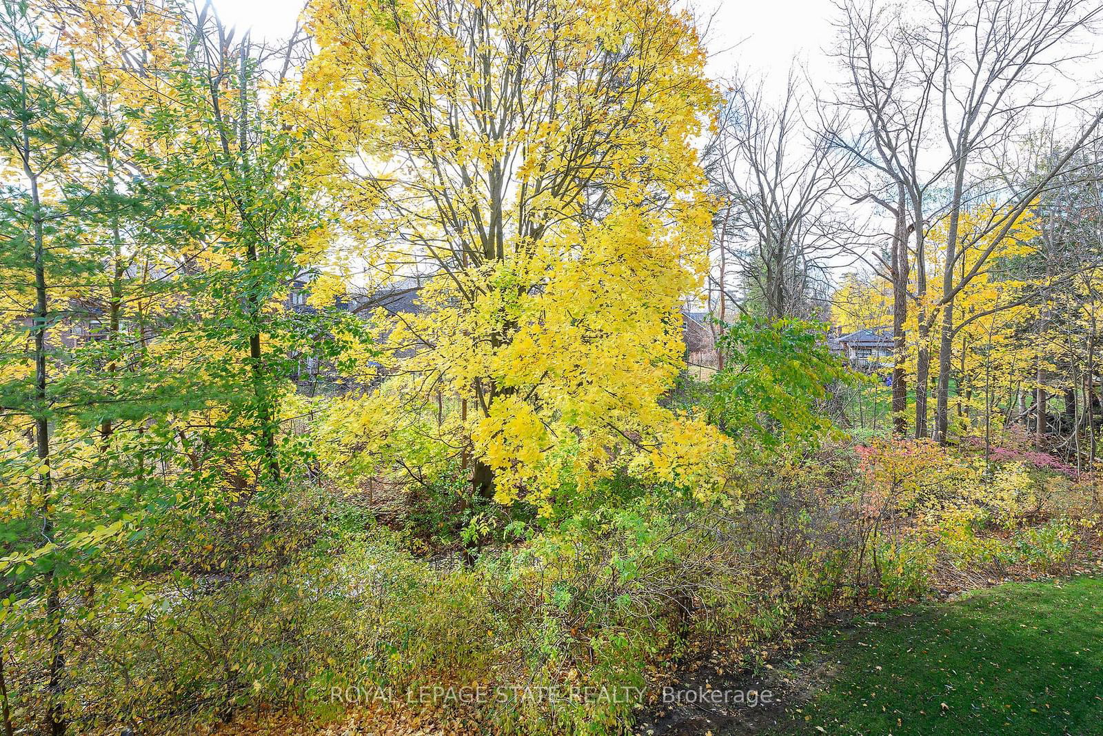 Centennial Forest Heights Condos, Milton, Toronto