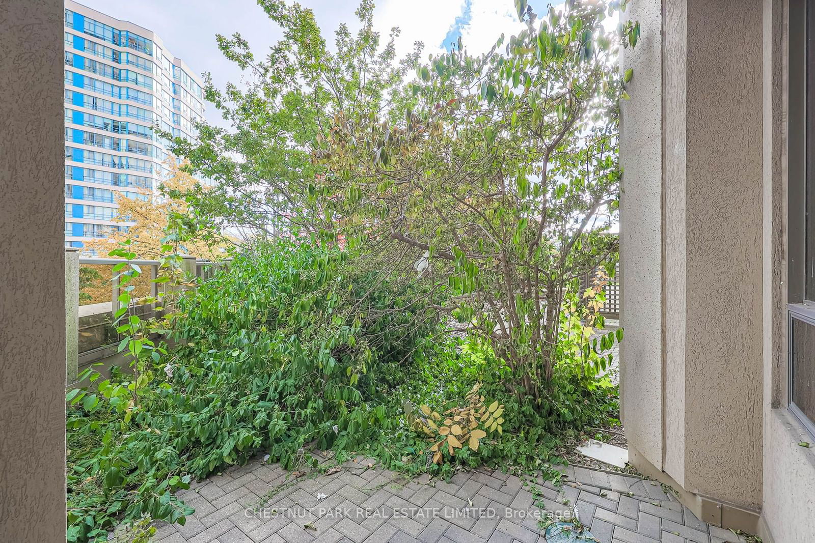 3880 Duke of York Blvd, unit 207 for sale