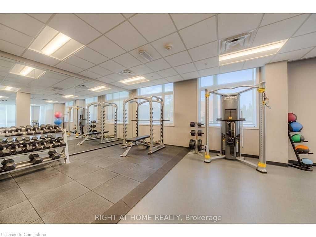 457 Plains Rd E, unit 203 for rent