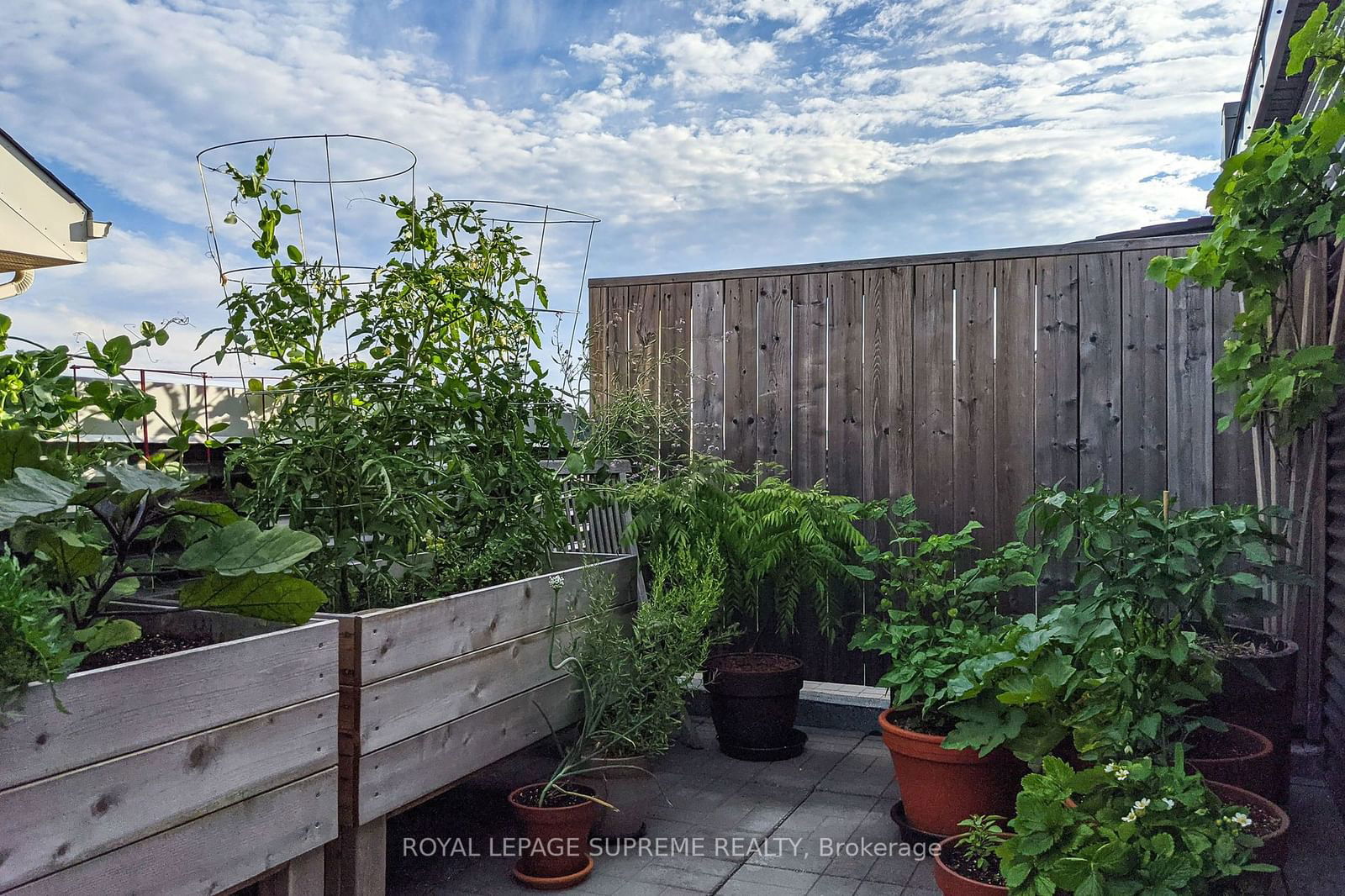 Village Mews, York Crosstown, Toronto