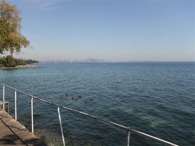 61 Lake Shore Dr for rent  - image #20