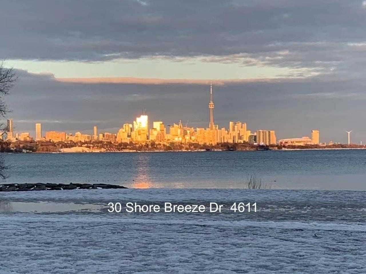 30 Shore Breeze Dr, unit 4611 for rent - image #4