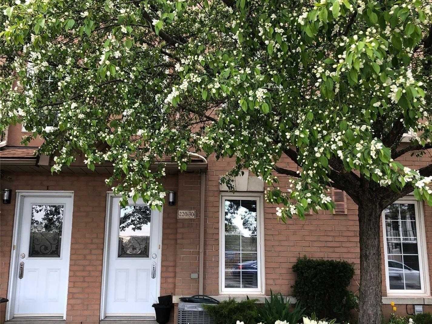 220 Manitoba St, unit 30 for sale in Mimico - image #2